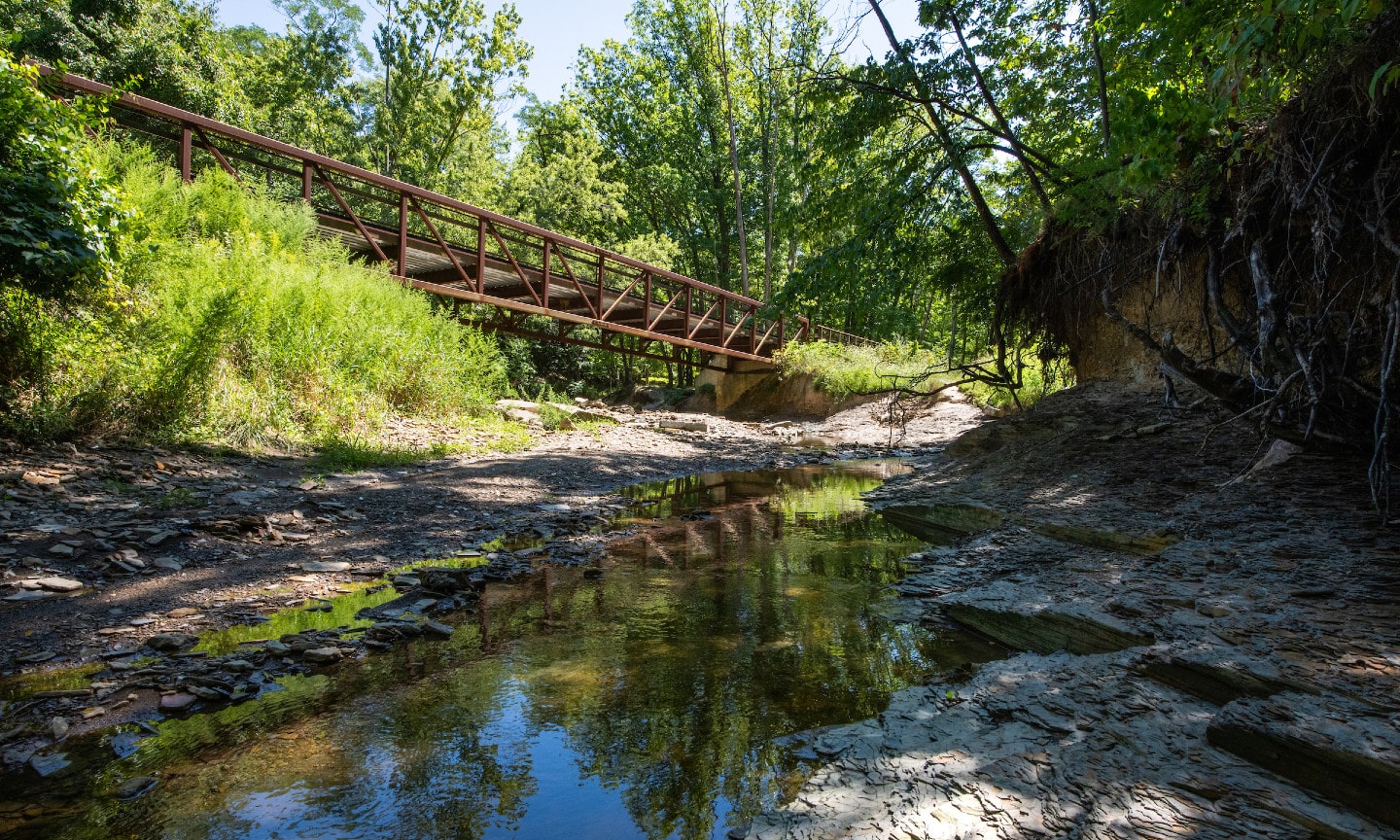 Cleveland-Metroparks-with-Plants-and-Water.jpg