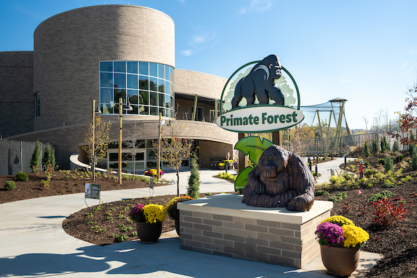 Primate Forest Ext. Sign
