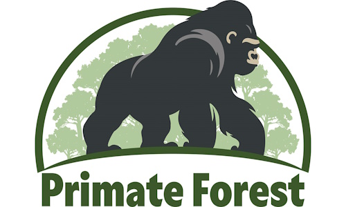 Primate-Forest.jpg