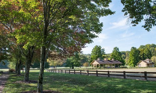 Polo Field