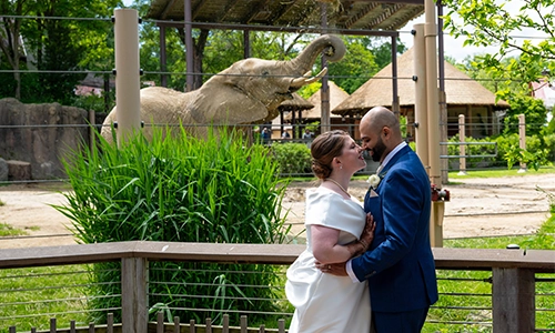 Zoo-Weddings_card.webp