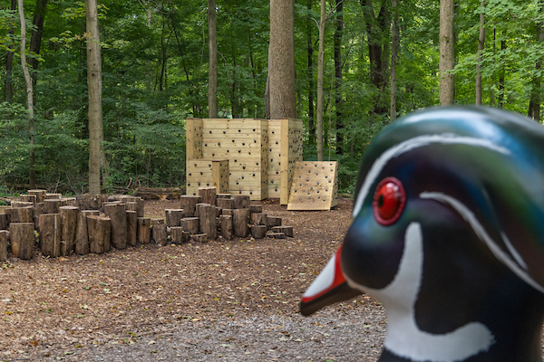 Nature Play Area