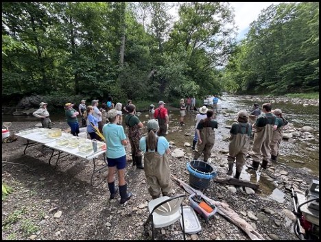 7.2.26 tinkers creek 1