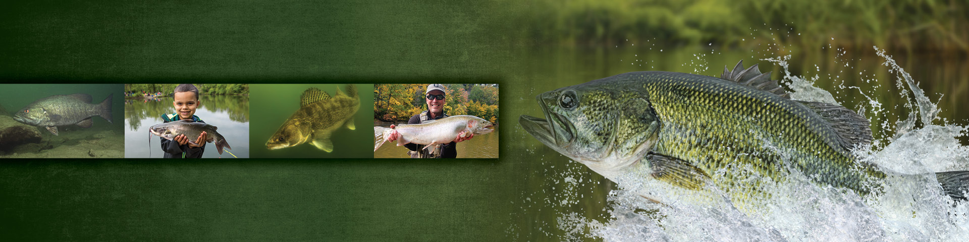 fishing-report-banner.jpg