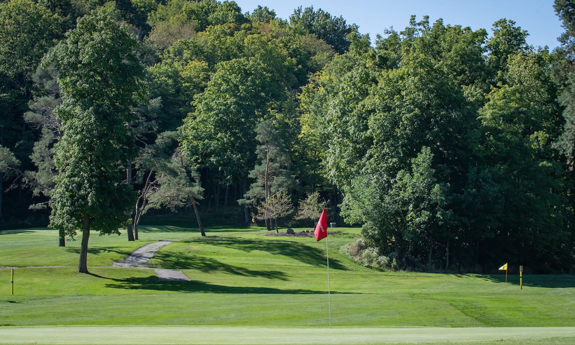 MAstick-Woods-3_resized.jpg
