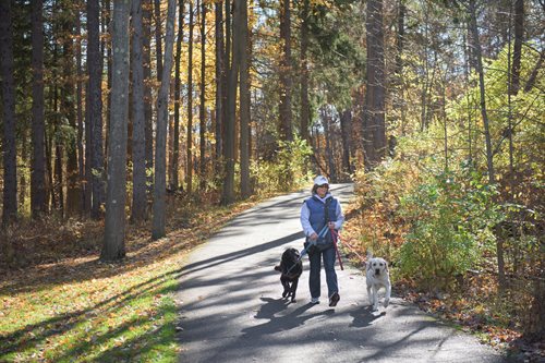 Brecksville-dogs-(1).jpg