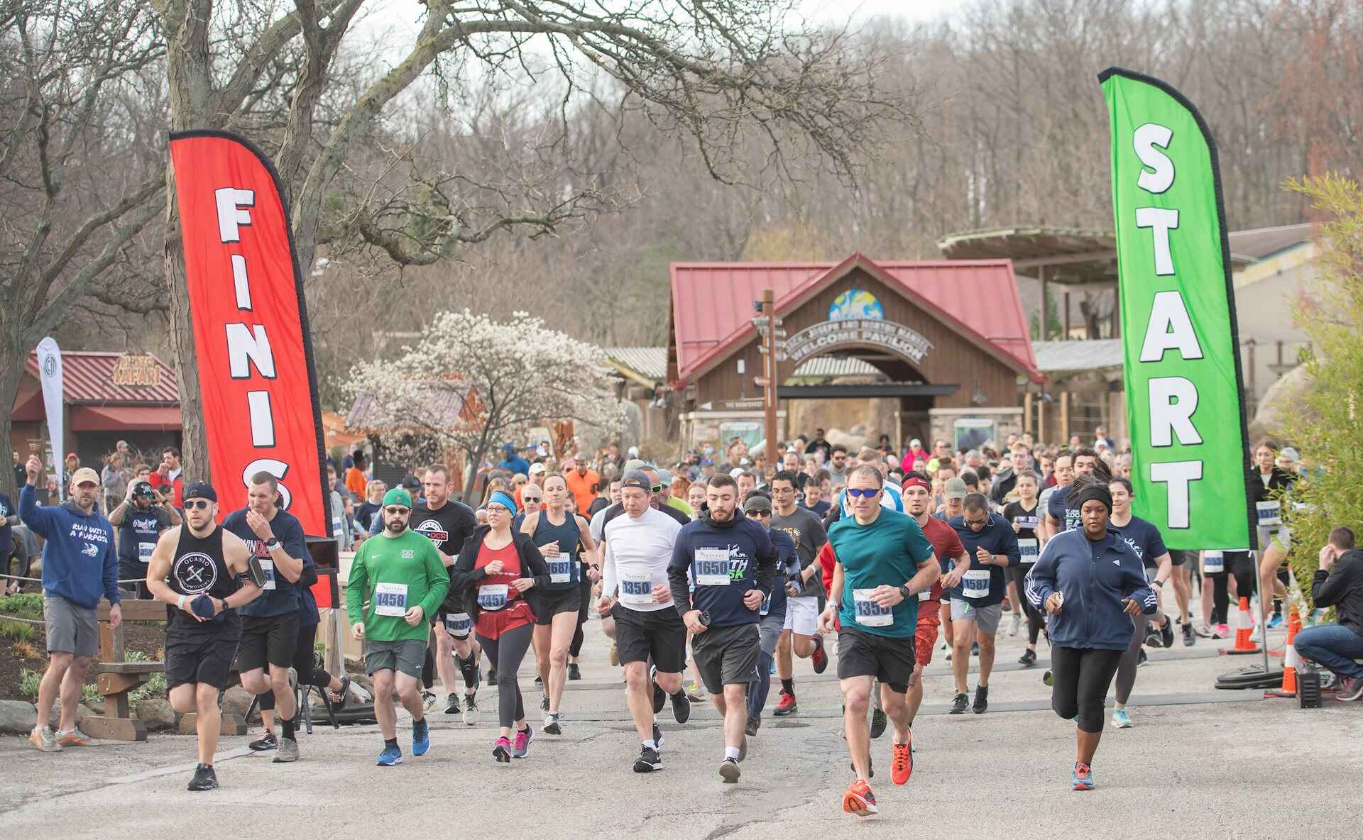 Zoo-race_start-1_2.jpg