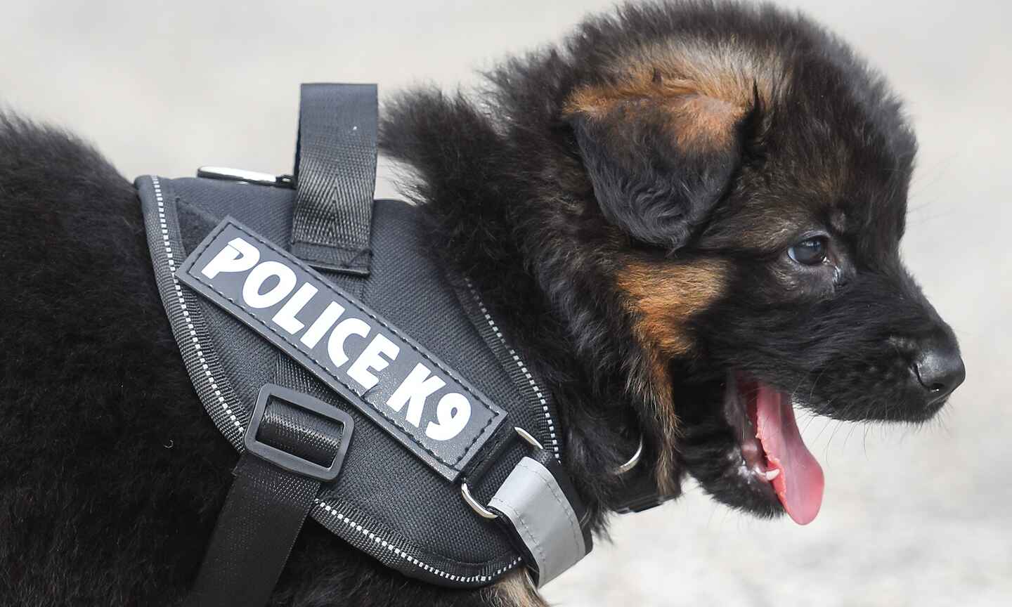 police-social2.jpg