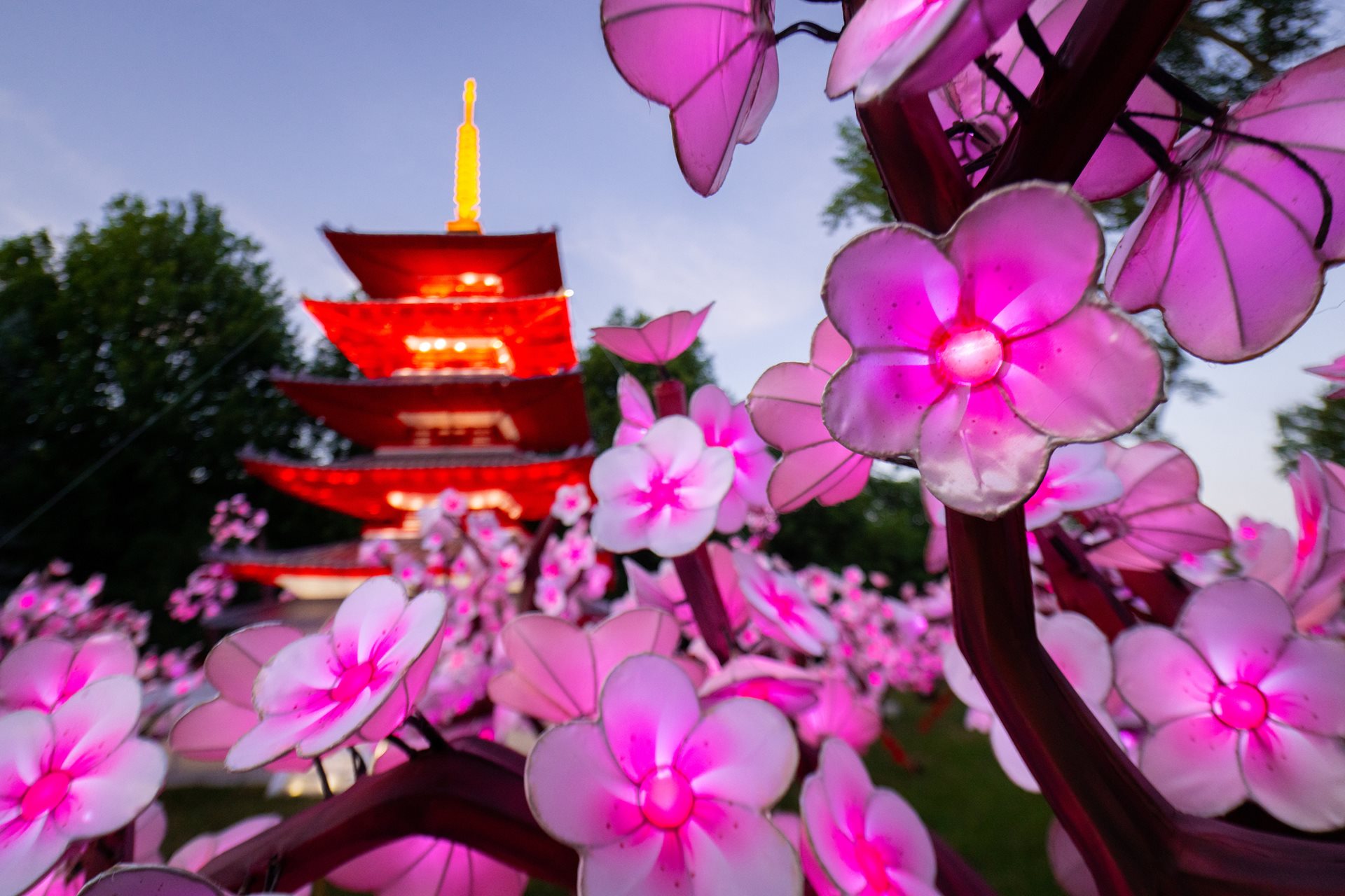 Asian-Lantern-Festival.jpg