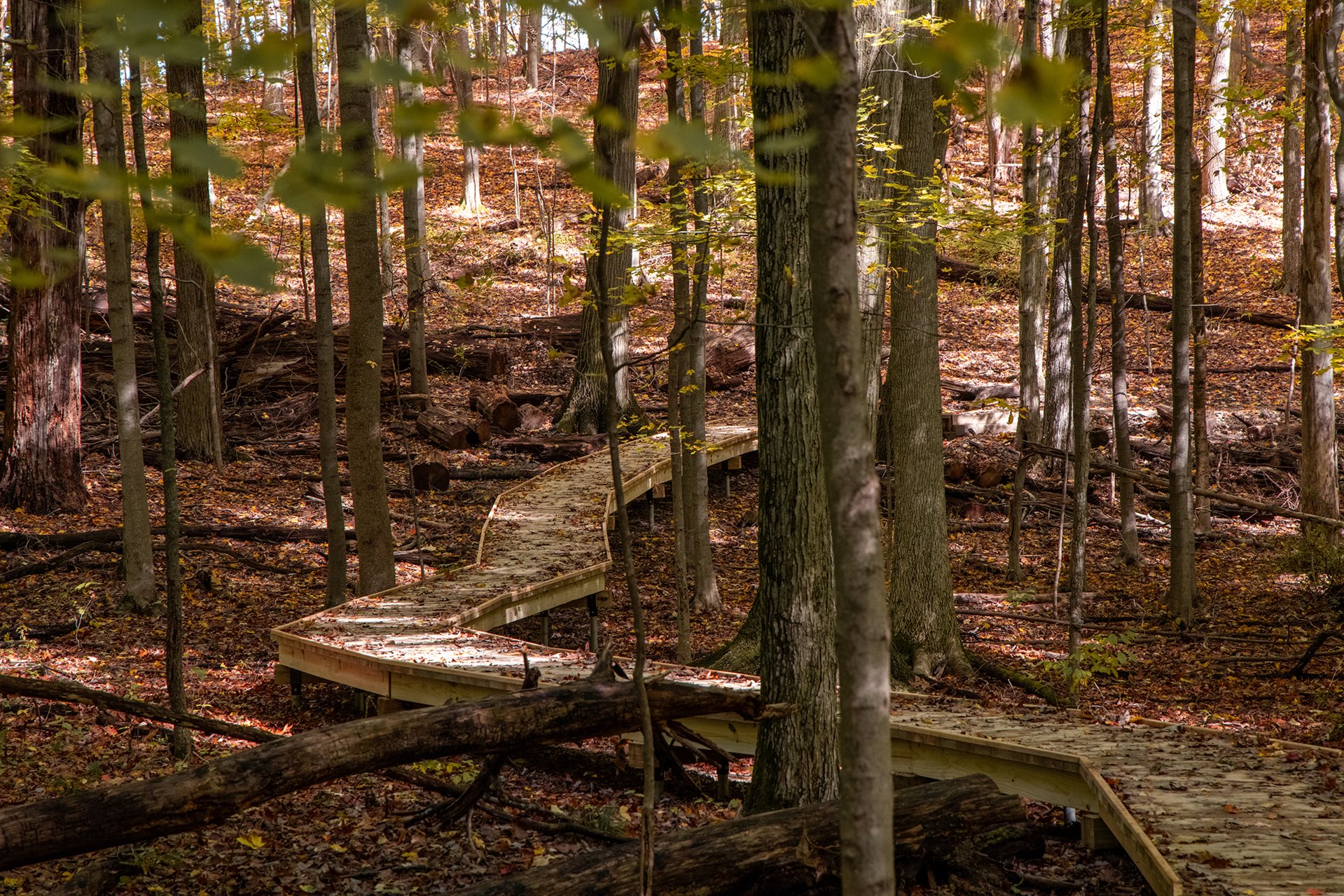 872A9731_3.jpg