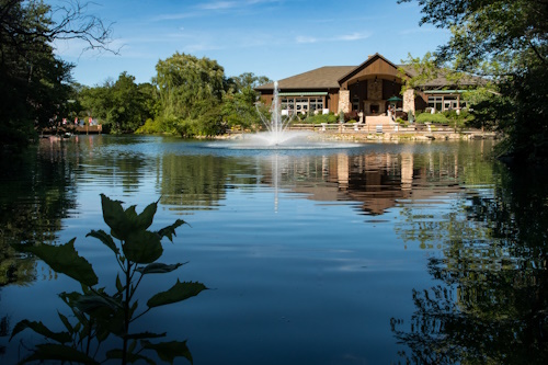 Waterfowl-Lake.jpg