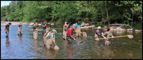 7.2.26 tinkers creek 2