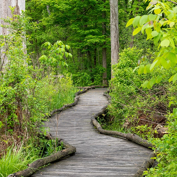 Oxbow-Lagoon-Trail.webp