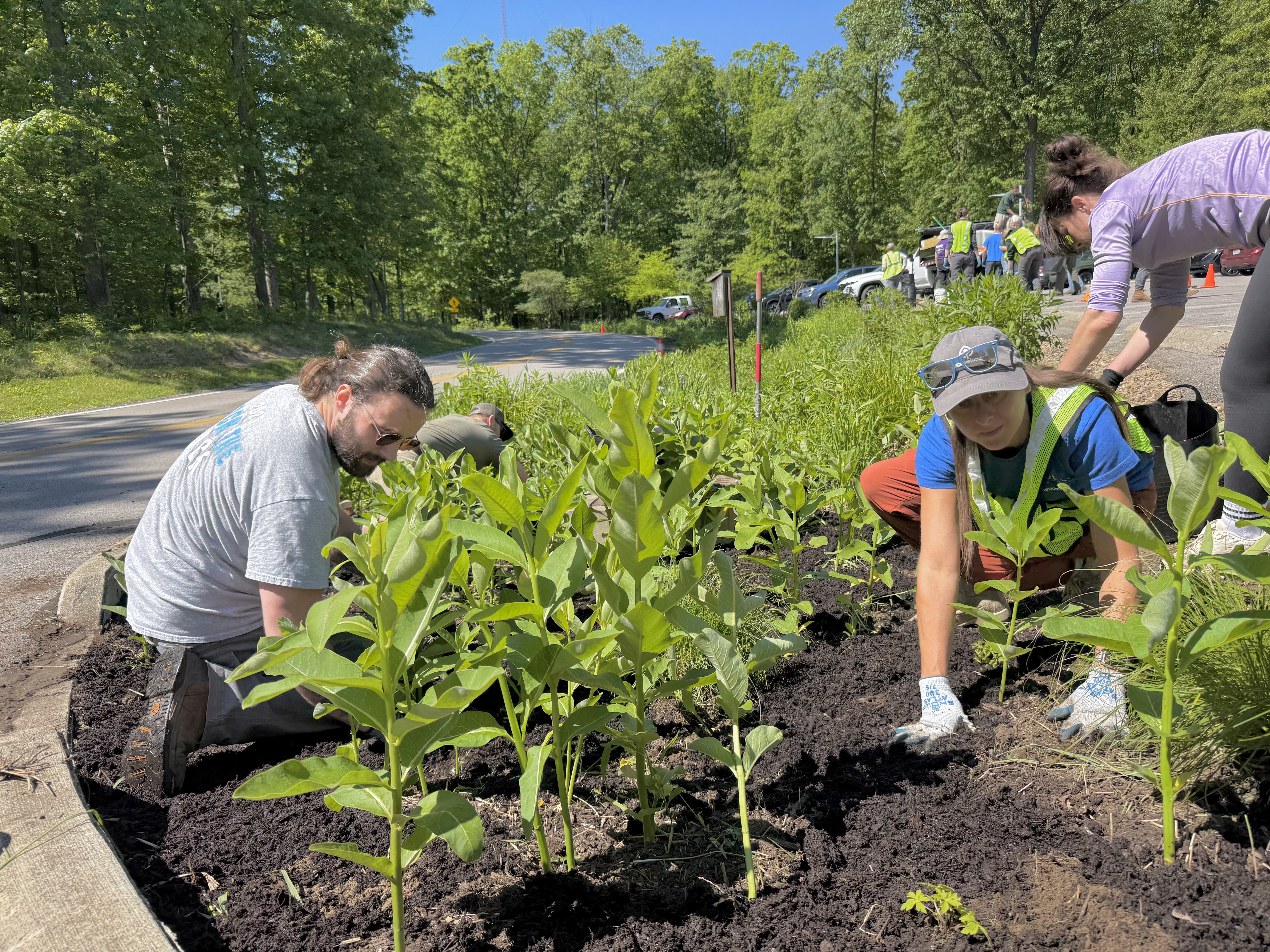 5-31-26 GI_volunteers