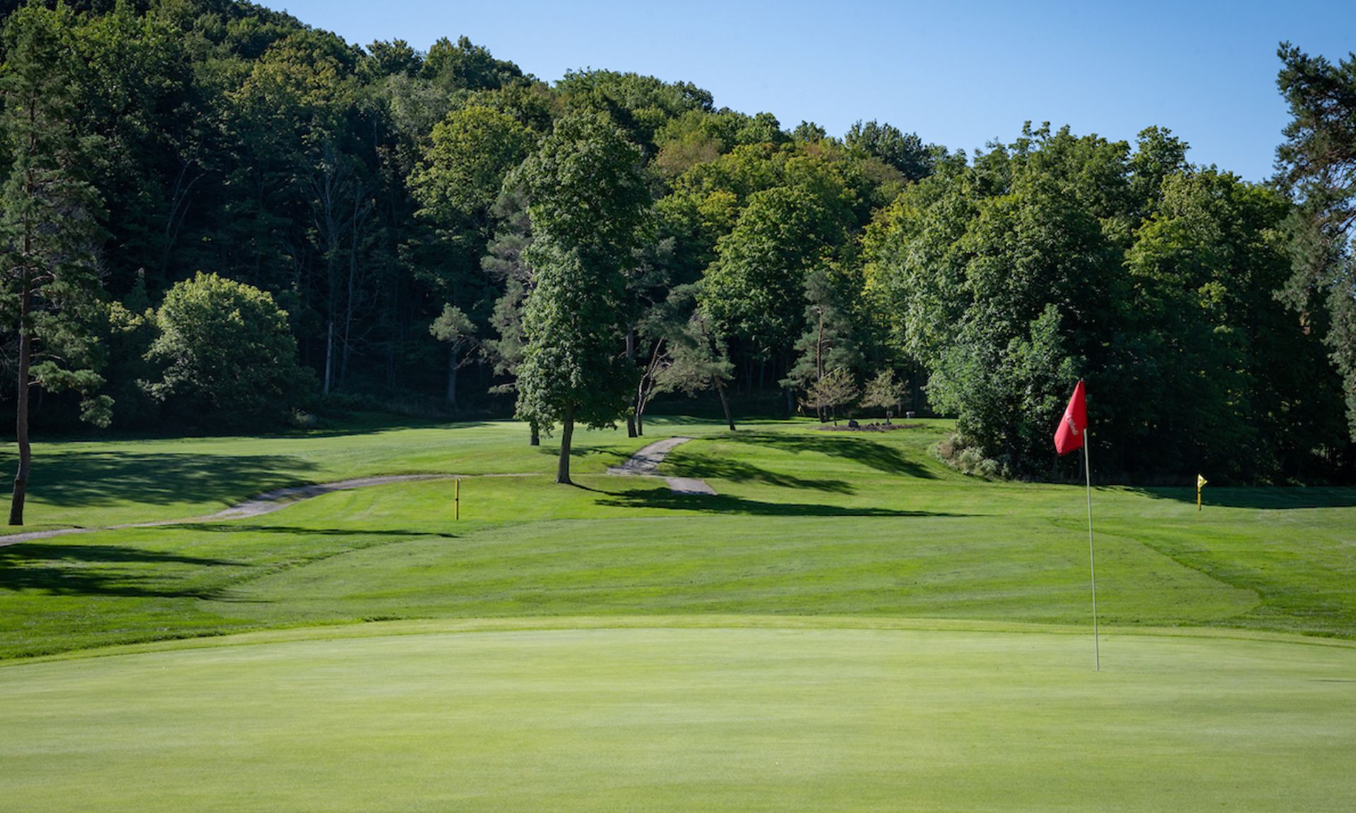 Mastick-Woods-2_resized.jpg