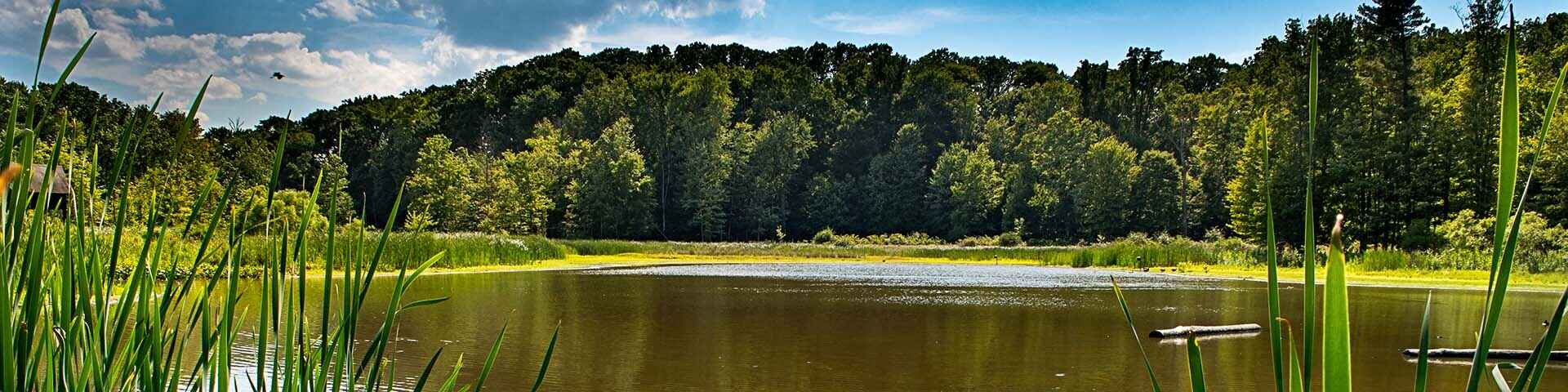 Strongsville_Wildlife_area_banner.jpg