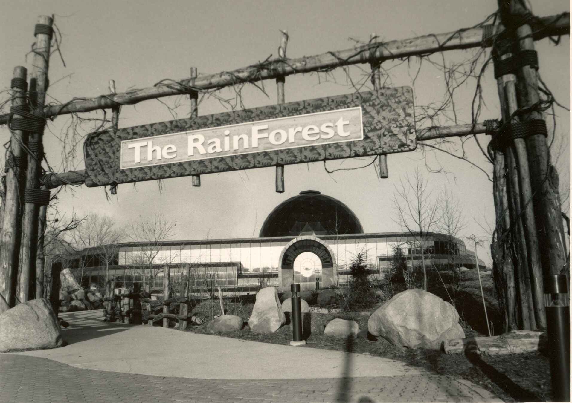 rainforest_b-w-1_1.jpg