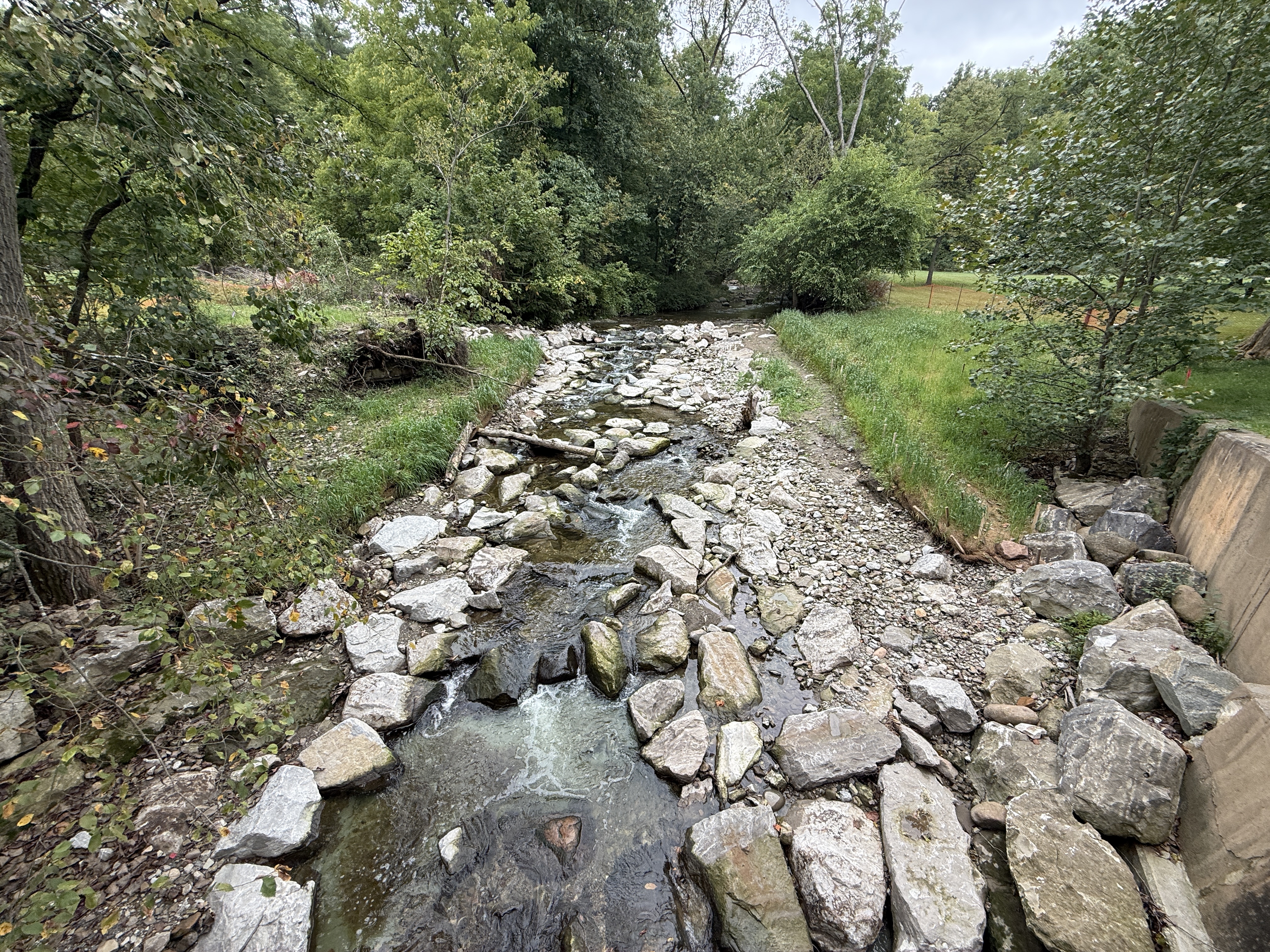 Wood Creek_complete.jpeg