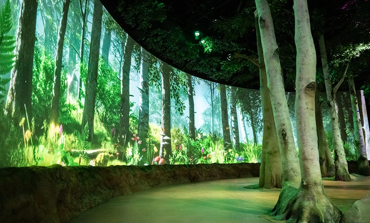 PF_CCM_Forest Home.webp