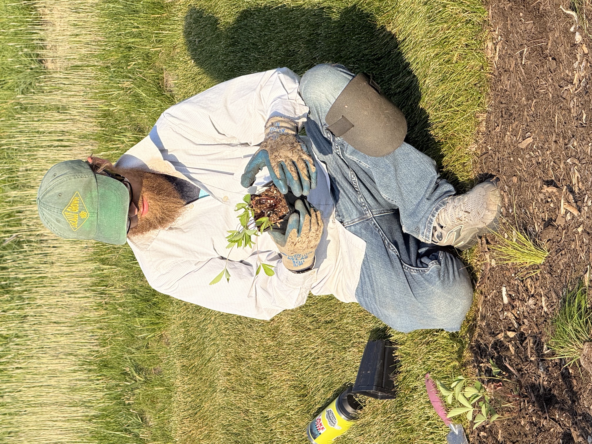 6-5-26 Gi Planting_Casey 6-5-26 Gi Planting_Casey