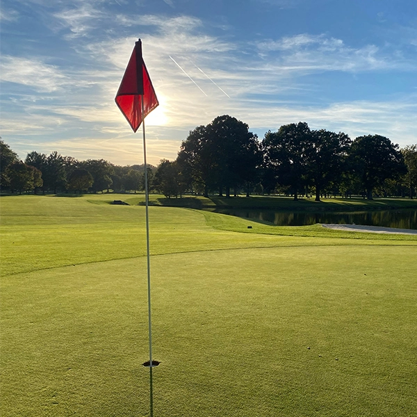 Golf.webp