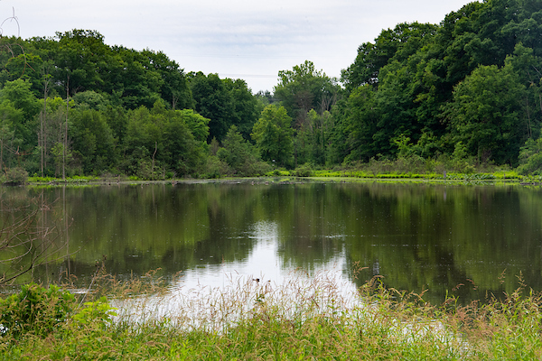 Lake Issac