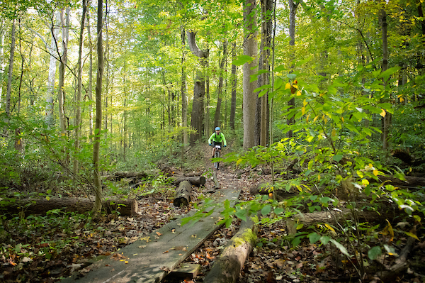 Royalview Mountain Bike Trail