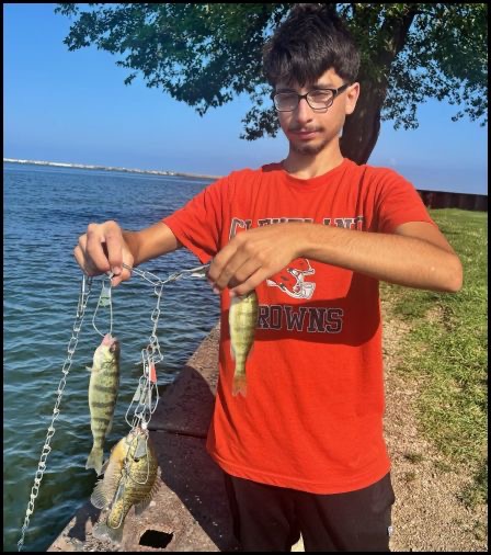 9.3.26 perch 2