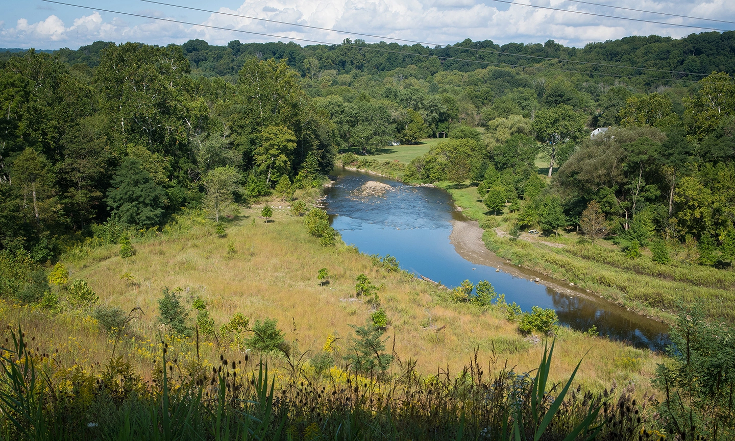 Landprotection-small.webp