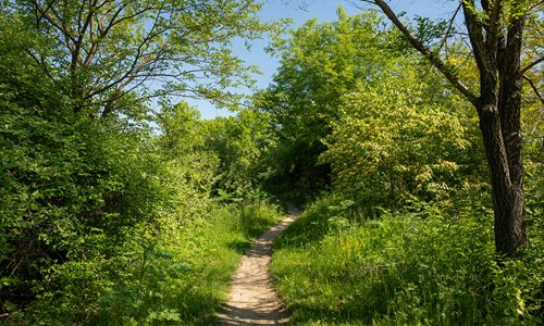 Ohio & Erie Canal Mountain Bike Trailhead