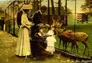 People-Feeding-Deer-in-1911.jpg People-Feeding-Deer-in-1911.jpg