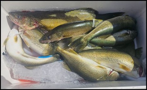 10-1-25-14.jpg