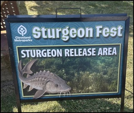 10-9-25-sturgeon-fest-14.jpg