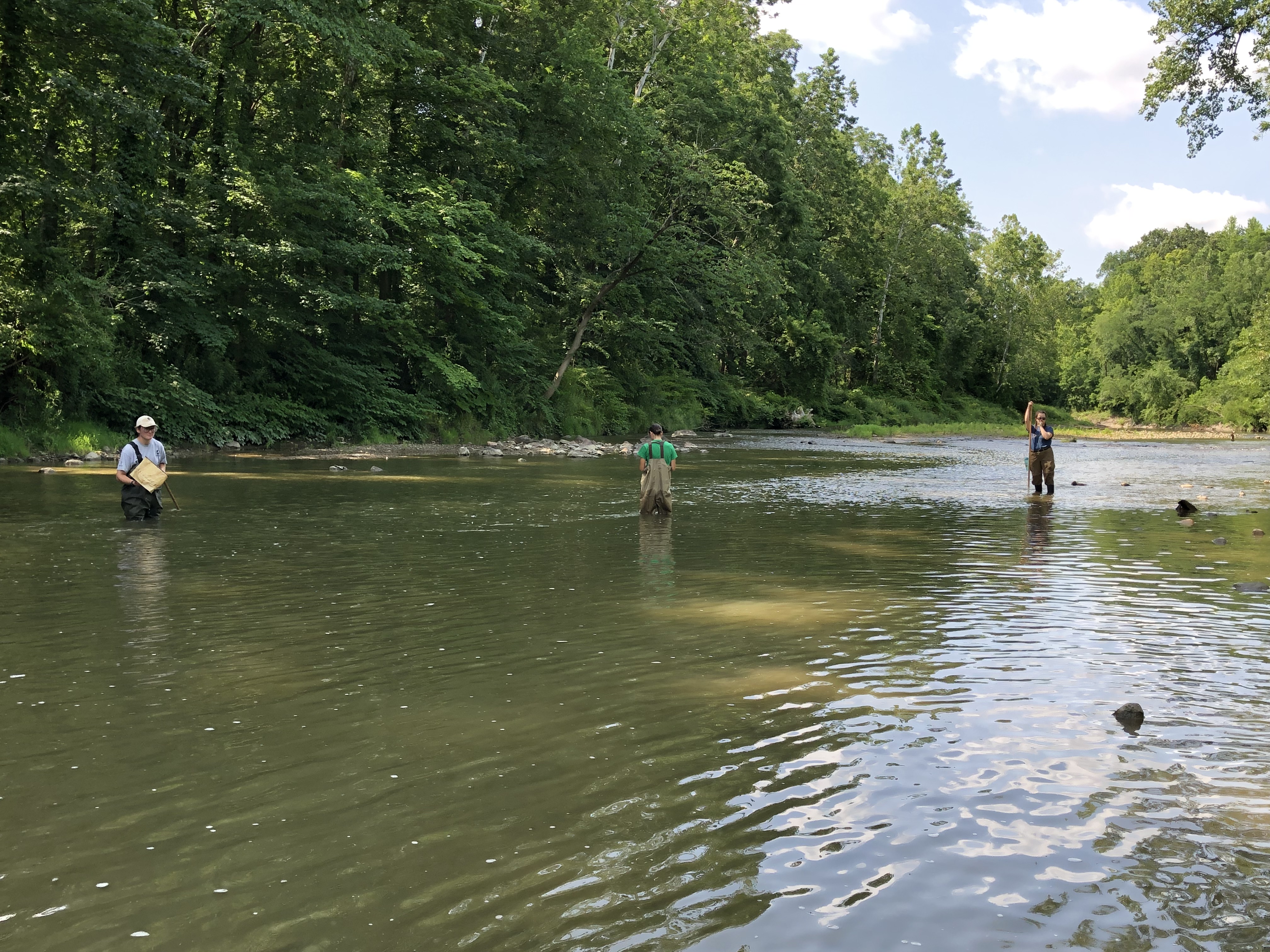 2023-Scenic-Rivers-NC_Wading.jpeg
