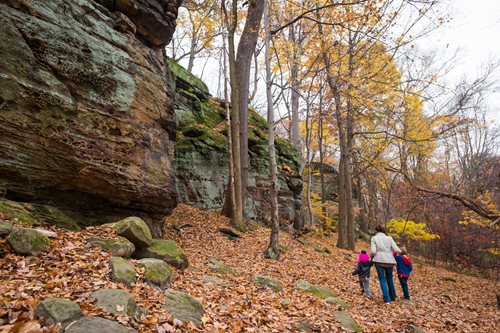 araffes walking on a trail in the woods with rocks and leaves, a cave painting by Aaron Bohrod, shutterstock contest winner, regionalism, hiking trail, high rocks, high cliff