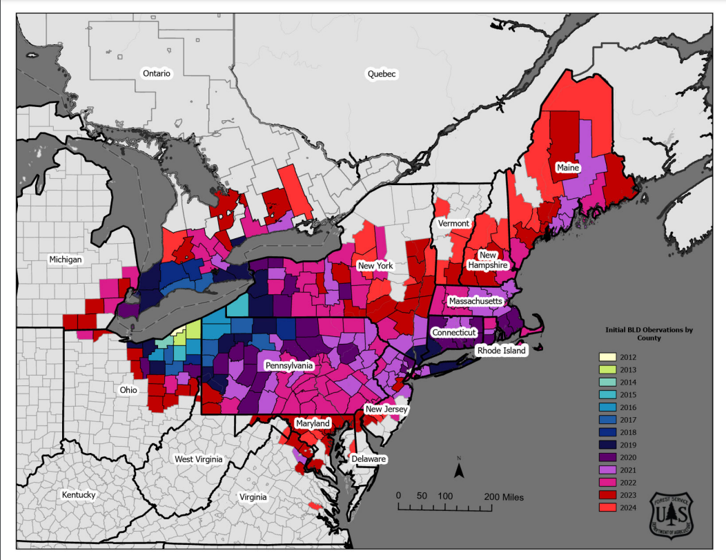 BLD-County-Map-Dec-2024.png