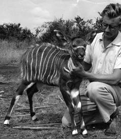 firstbongo.jpg firstbongo.jpg