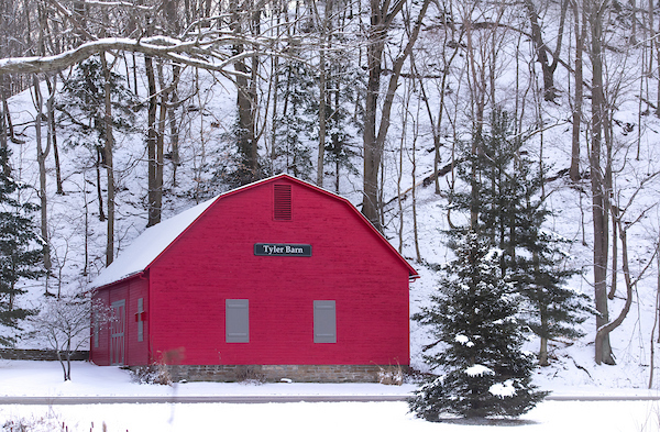 Tyler-Barn.jpg