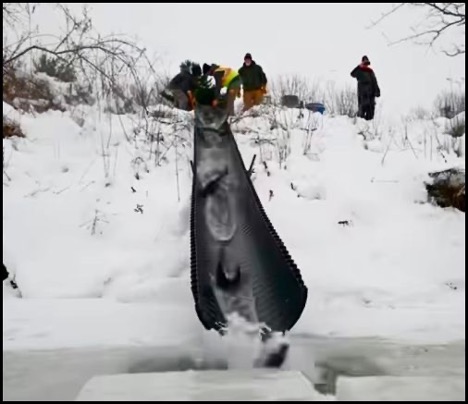2-5-26-video.jpg