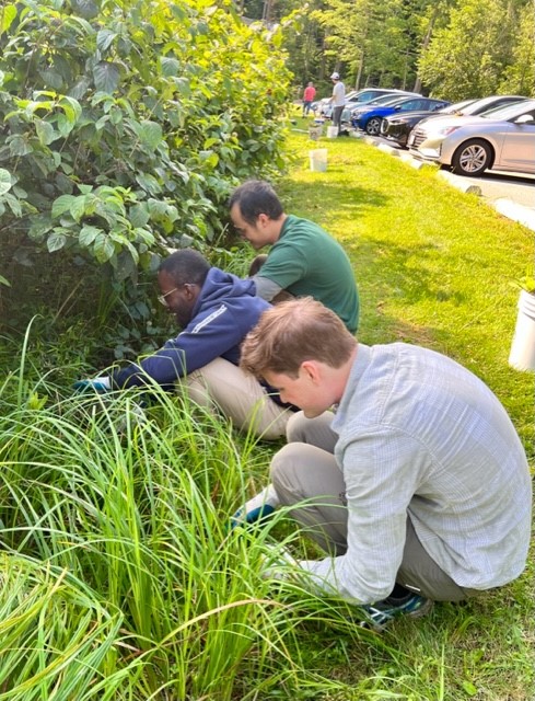 Seasonal-Natural-Resources-staff-and-watershed-volunteers-weed-a-bioretention-cell-at-Chalet.jpg