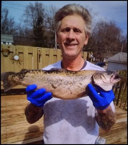 3-20-25-dale.jpg