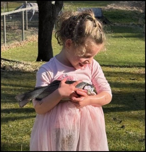 3-20-25-sophia.jpg