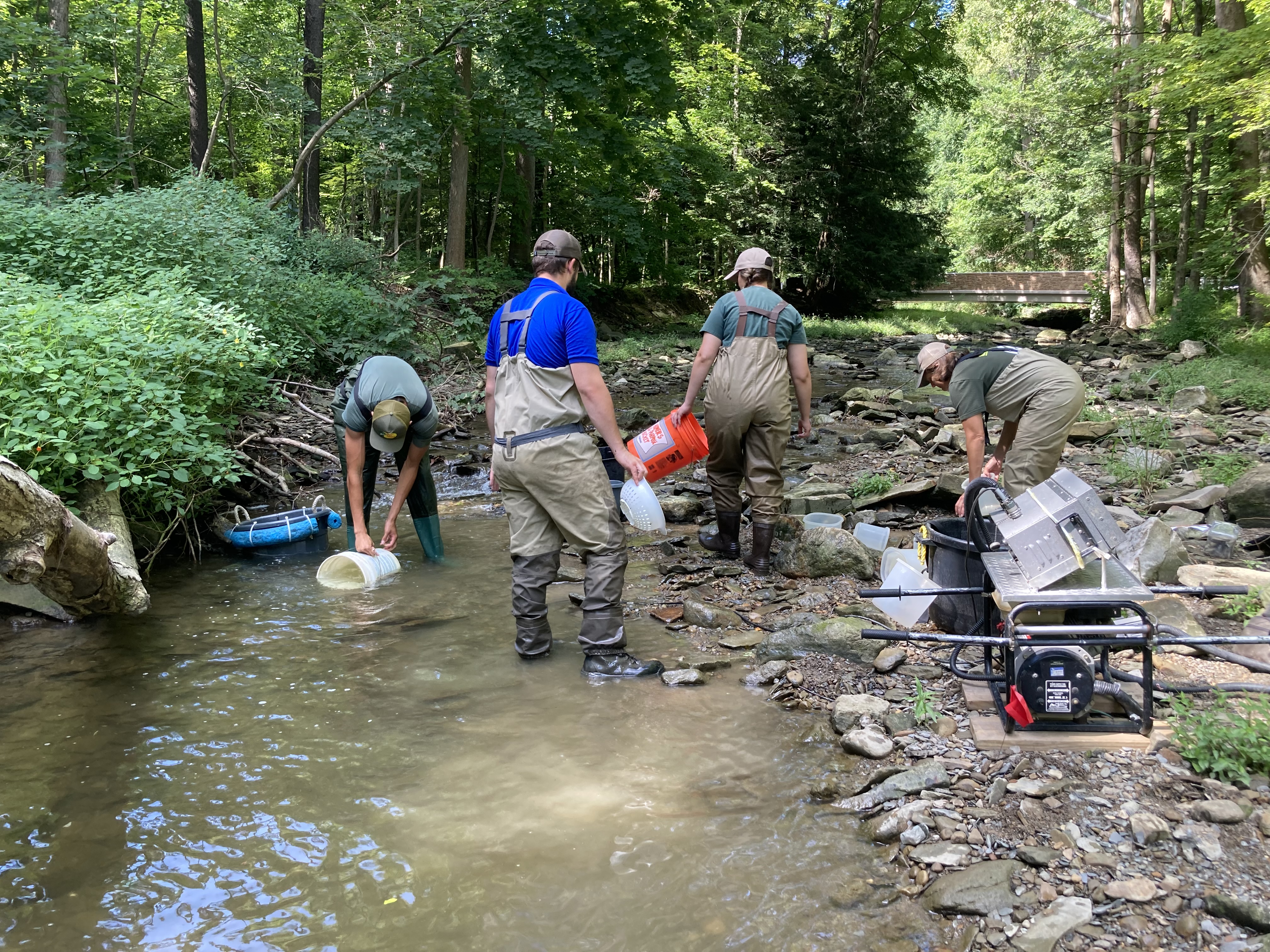 headwater-survey-team.JPG