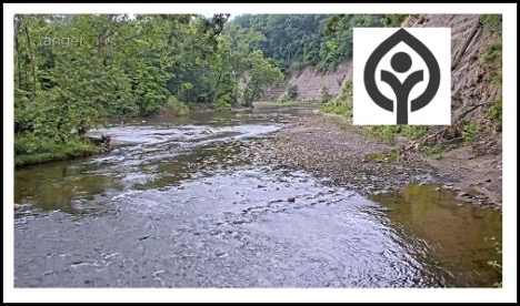 8-6-25-rocky-river-cam.jpg