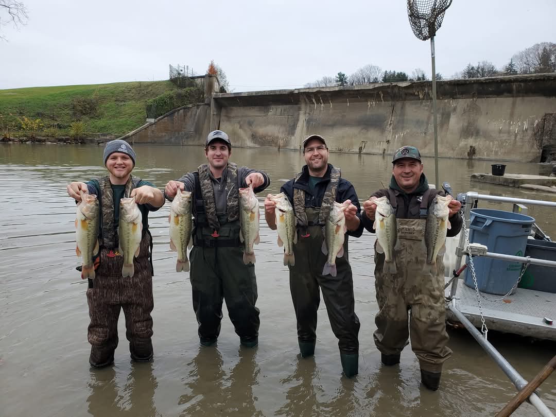 fish-transfer-hk-dam.jpg