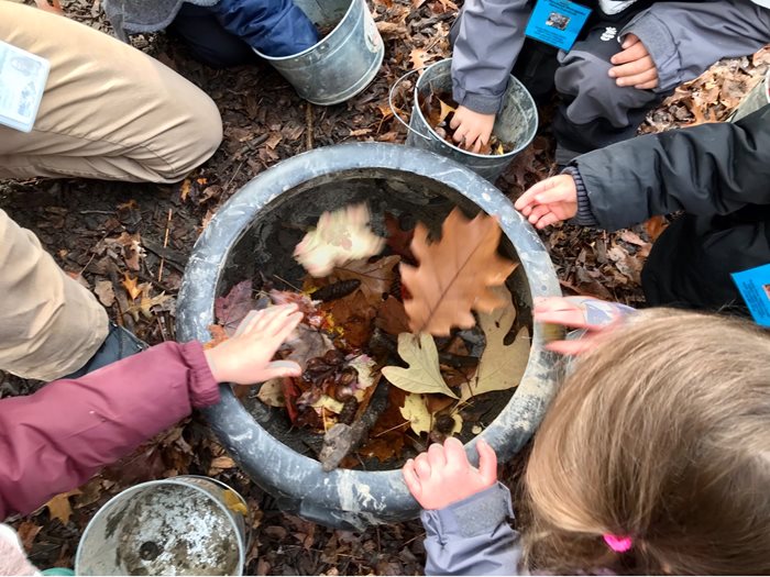 LEaf-Soup.jpg LEaf-Soup.jpg