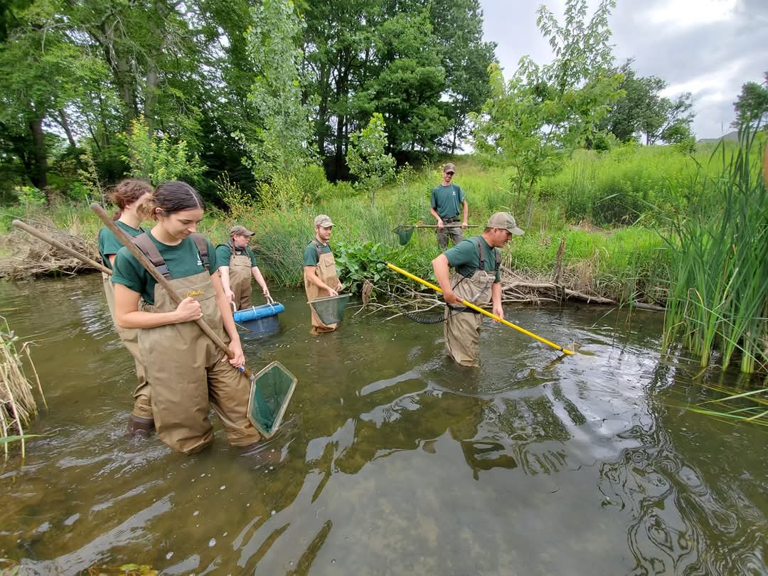 electrofishing-for-IBI.jpg