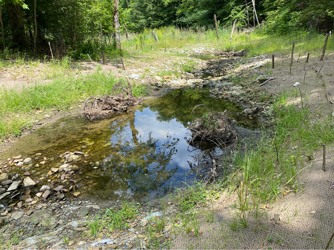 Constructed-Pool-with-woody-habitat.jpg