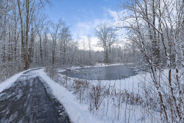 BRADLEY_WOODS-3.jpg