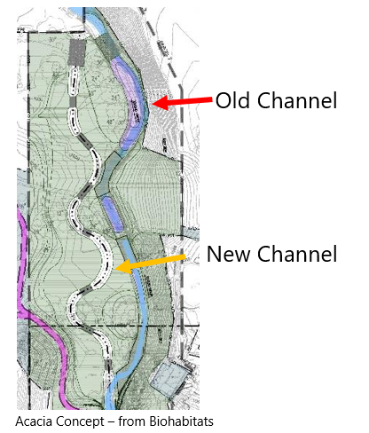 Sometimes-restoring-streams-means-building-new-channels-like-at-Acacia-along-the-main-stem-of-Euclid-Creek.png